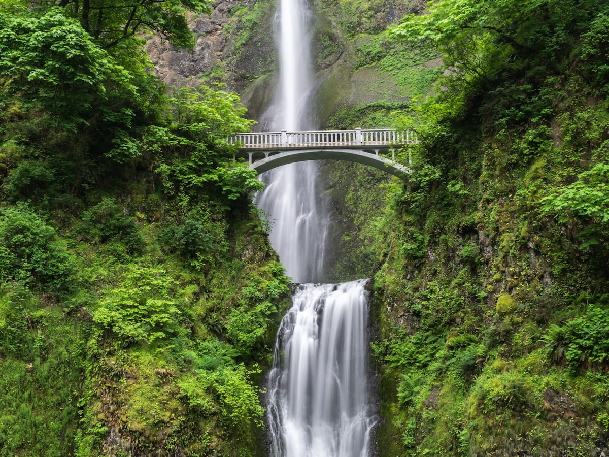 Туман над водой