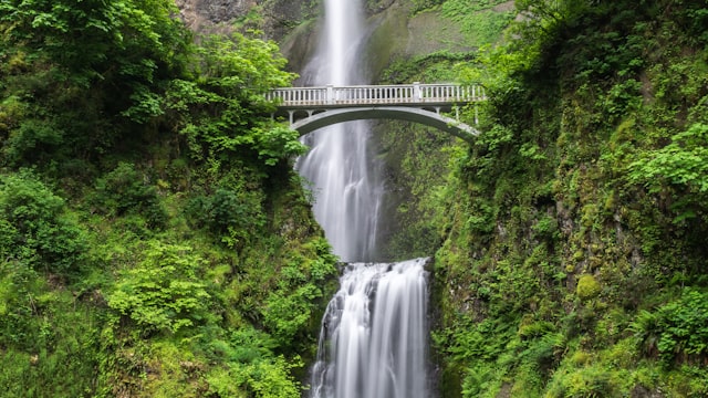 Подводный мир